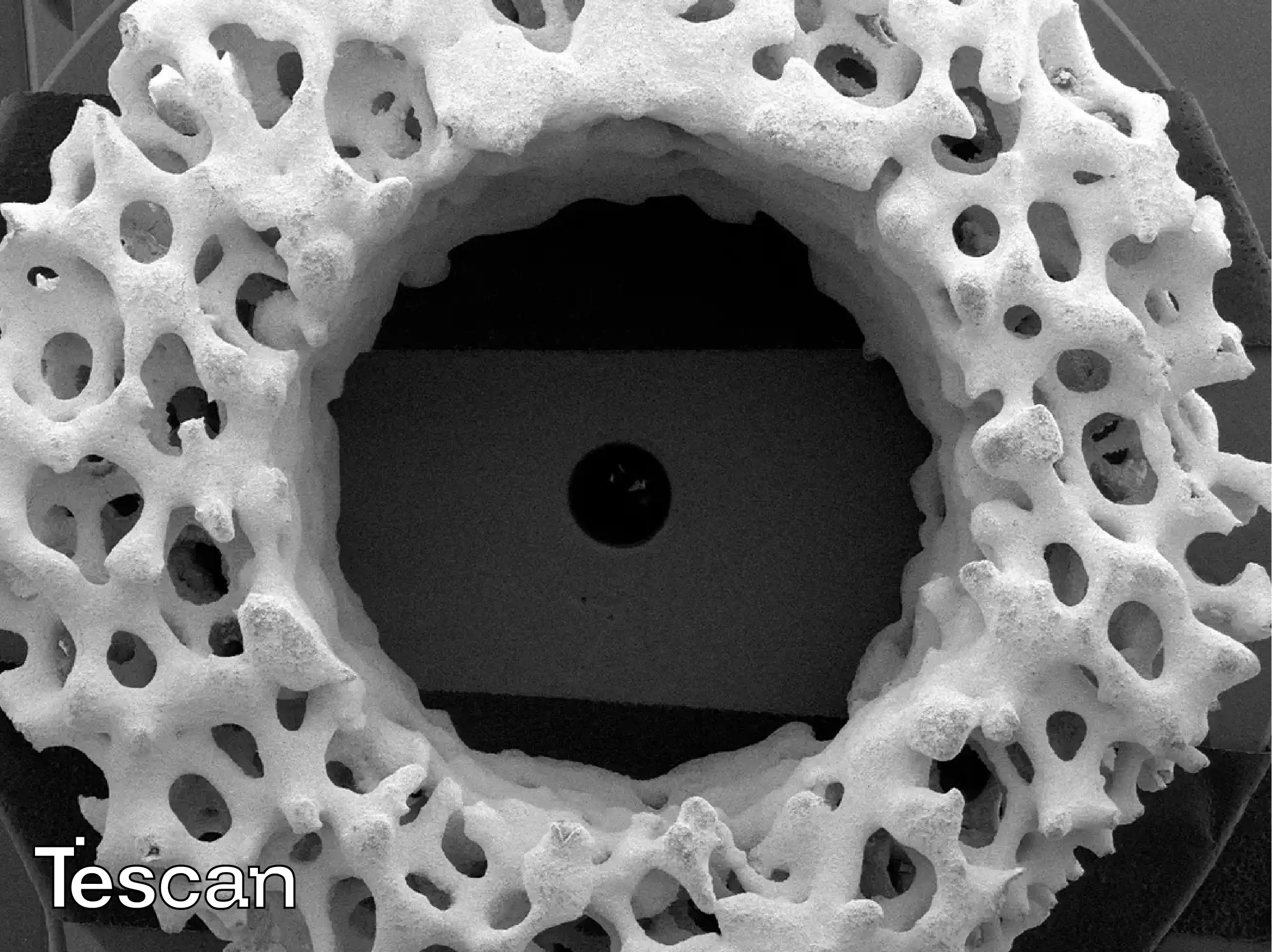 Tescan Life Science SEM